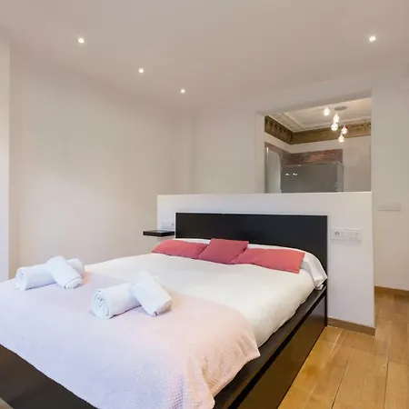 1229 - Awesome Center With Terrace * Barcelone